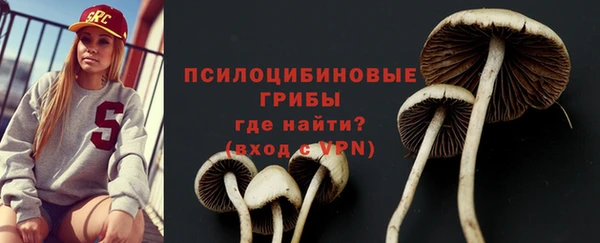 гидра Михайловск