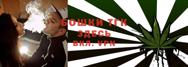 гидра Михайловск