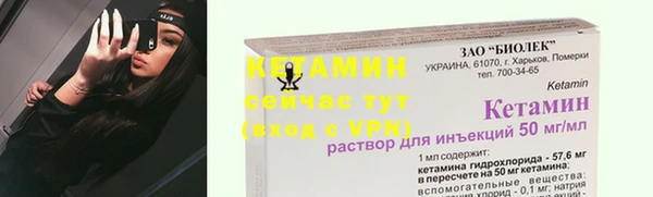 сатива Дмитров