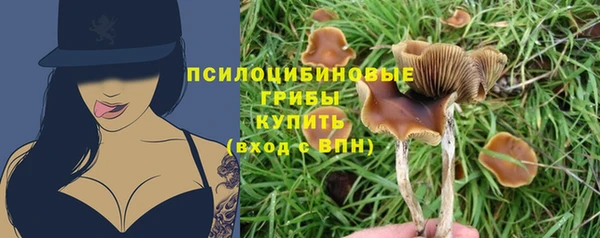 гидра Михайловск