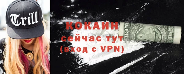 шишки Наволоки