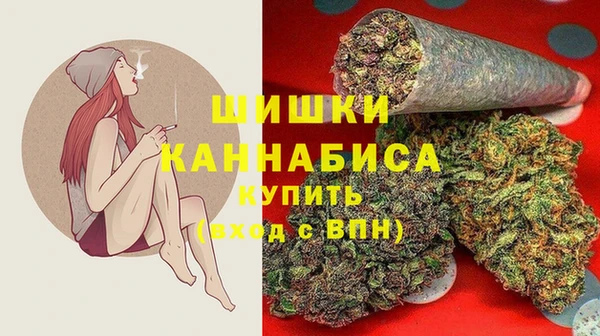 гидра Михайловск