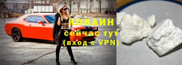 шишки Наволоки