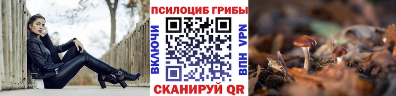 купить наркоту  Канск  hydra ССЫЛКА  Псилоцибиновые грибы мицелий 