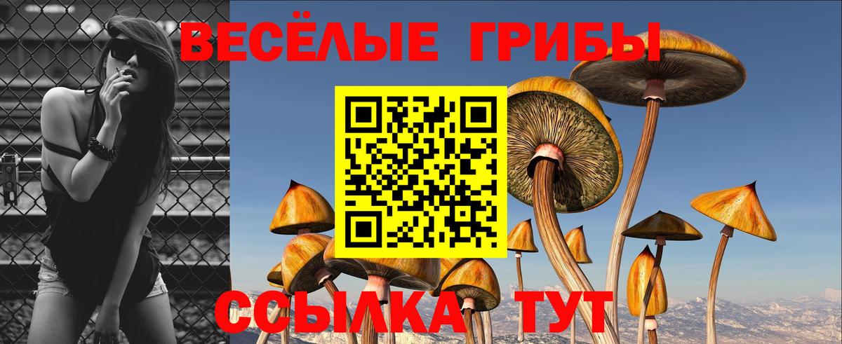 Канск  Псилоцибиновые грибы мицелий  Вход с VPN 