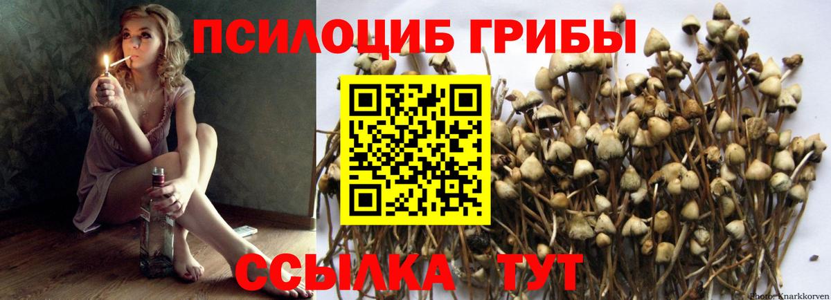 Галлюциногенные грибы Magic Shrooms Канск