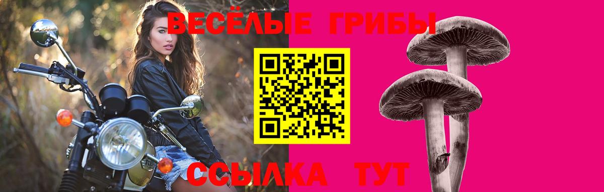 ГАШИШ  Alpha PVP  Каннабис  МЕФ  Канск  Вход с VPN 